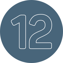 12 icon