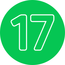 17 ikona