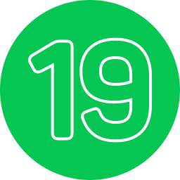 19 icon