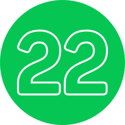 22 Ícone