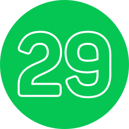 29 icon