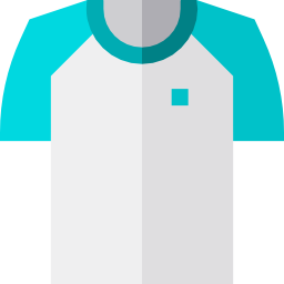 Shirt icon