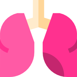 Lungs icon