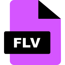 flv icoon