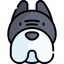 pitbull icono