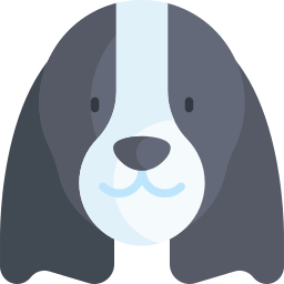 Springer spaniel icon