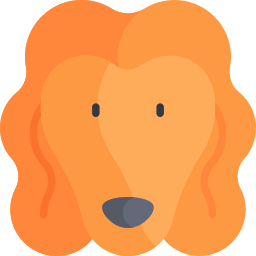 Afghan hound icon