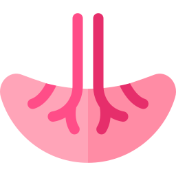 placenta Icône