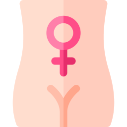 ginecologia Ícone