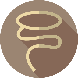 Lasso icon