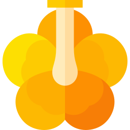 Tropical flower icon