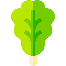 Lettuce icon