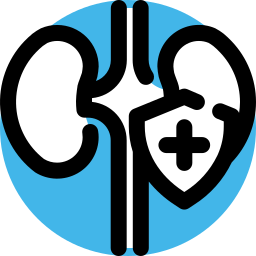 gesundheit icon