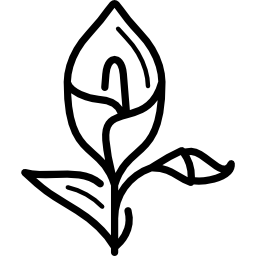 calla lily icono