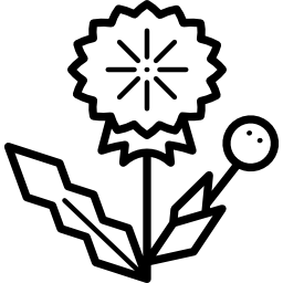 löwenzahn icon