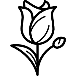 tulpe icon