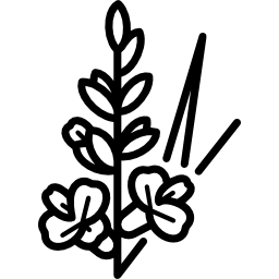 Гладиола иконка