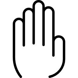 Palm icon