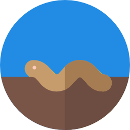 wurm icon