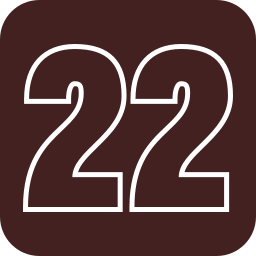 22 ikona