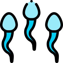 sperma icon