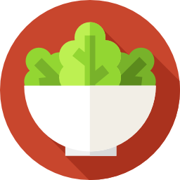 Salad icon