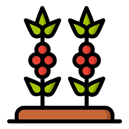 plante de café Icône