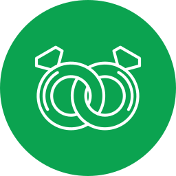 ring icon