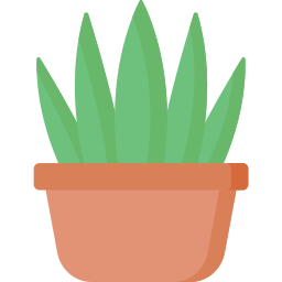 aloe vera icon