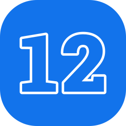 12 icon