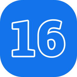 16 icoon