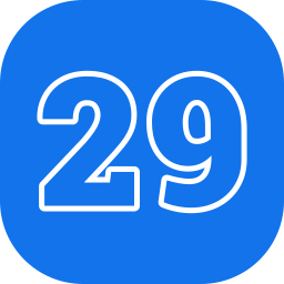 29 icon