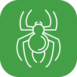 spinne icon