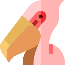 Pelican icon