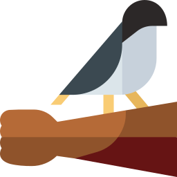 Falconry icon