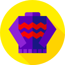 Sweater icon