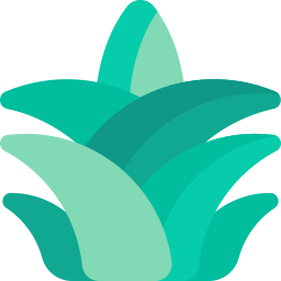 agave Ícone