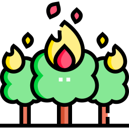 Wildfire icon