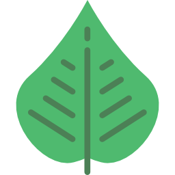 Leaf icon