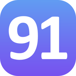 91 icoon