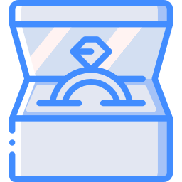 ring icon