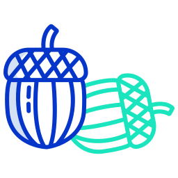 Acorn icon