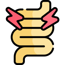 Bowel icon