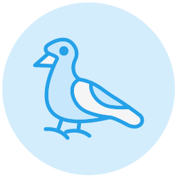 möwe icon