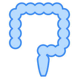 結腸 icon