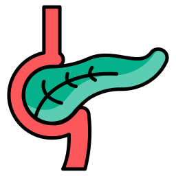 pancreas icona