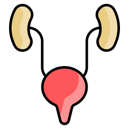 uréteres icono