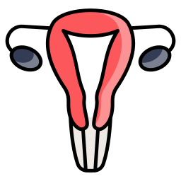 Uterus icon