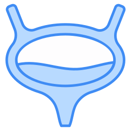 Bladder icon