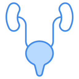 Ureters icon